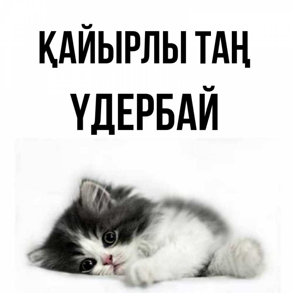 Күн сайын ашық хат с именем, ҮДЕРБАЙ Қайырлы таң кот лапки Онлайн тегін жүктеп алу тілектері бар керемет карта 