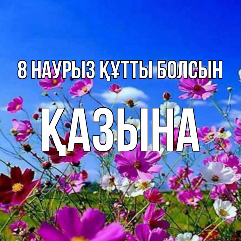 Күн сайын ашық хат с именем, ҚАЗЫНА 8 наурыз құтты болсын цветы Онлайн тегін жүктеп алу тілектері бар керемет карта 