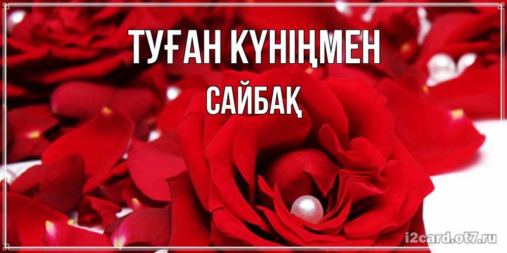 Күн сайын ашық хат с именем, САЙБАҚ Туған күніңмен роза с жемчужиной на открытке для любимых Онлайн тегін жүктеп алу тілектері бар керемет карта 
