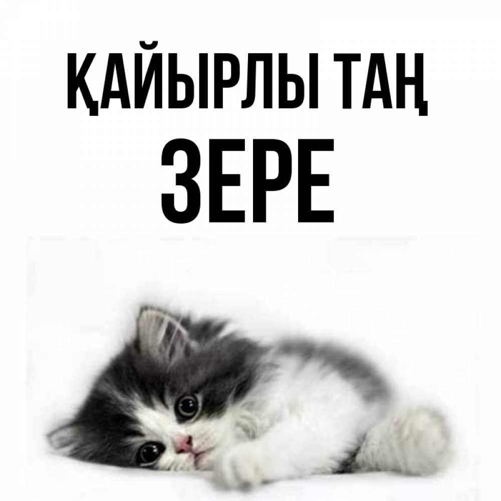 Күн сайын ашық хат с именем, ЗЕРЕ Қайырлы таң кот лапки Онлайн тегін жүктеп алу тілектері бар керемет карта 