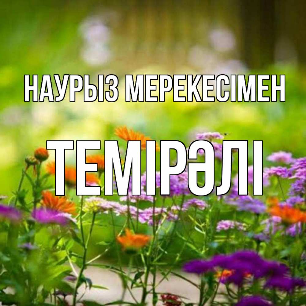 Күн сайын ашық хат с именем, ТЕМІРӘЛІ Наурыз мерекесімен цветы Онлайн тегін жүктеп алу тілектері бар керемет карта 