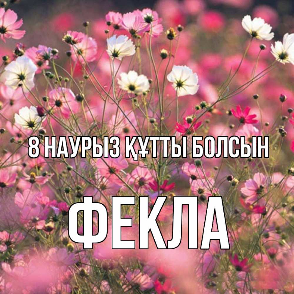 Күн сайын ашық хат с именем, Фекла 8 наурыз құтты болсын красиво 1 Онлайн тегін жүктеп алу тілектері бар керемет карта 