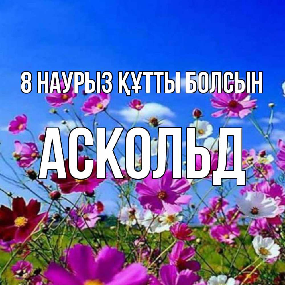 Күн сайын ашық хат с именем, Аскольд 8 наурыз құтты болсын цветы Онлайн тегін жүктеп алу тілектері бар керемет карта 