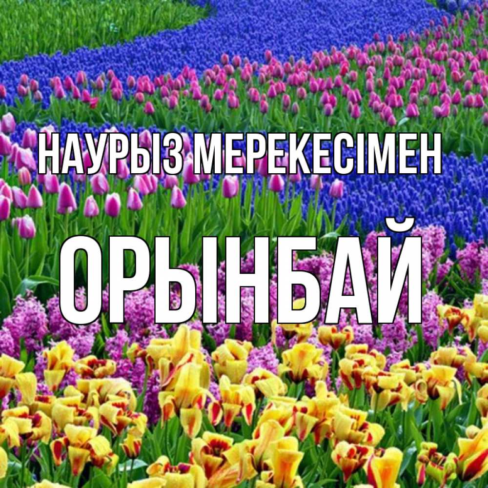 Күн сайын ашық хат с именем, ОРЫНБАЙ Наурыз мерекесімен цветы Онлайн тегін жүктеп алу тілектері бар керемет карта 