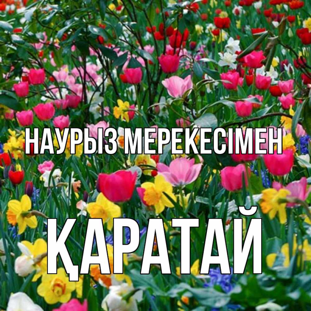 Күн сайын ашық хат с именем, Қаратай Наурыз мерекесімен с наурызом праздником весны поздравления для женщины Онлайн тегін жүктеп алу тілектері бар керемет карта 