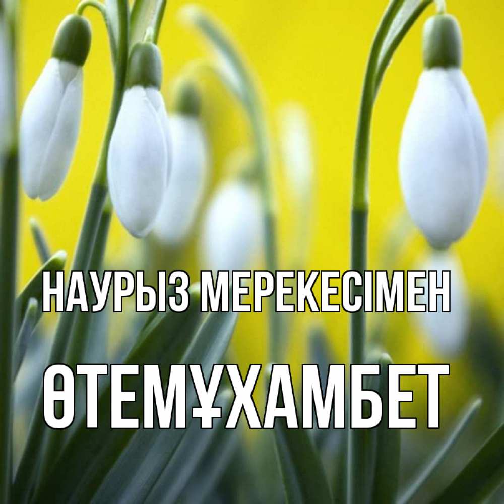Күн сайын ашық хат с именем, ӨТЕМҰХАМБЕТ Наурыз мерекесімен весенние цветы Онлайн тегін жүктеп алу тілектері бар керемет карта 