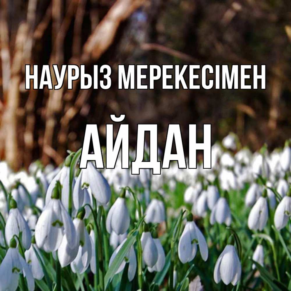 Күн сайын ашық хат с именем, Айдан Наурыз мерекесімен с подснежниками 1 Онлайн тегін жүктеп алу тілектері бар керемет карта 