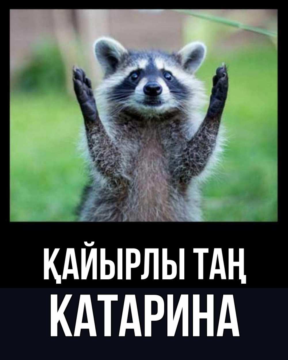 Күн сайын ашық хат с именем, Катарина Қайырлы таң хорошее настроение утречком Онлайн тегін жүктеп алу тілектері бар керемет карта 