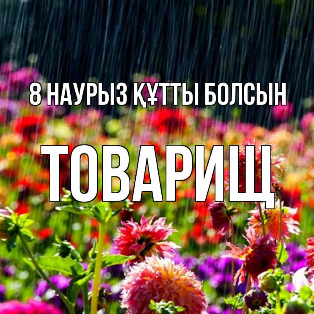 Күн сайын ашық хат с именем, Товарищ 8 наурыз құтты болсын цветы под дождиком к международному женскому дню Онлайн тегін жүктеп алу тілектері бар керемет карта 