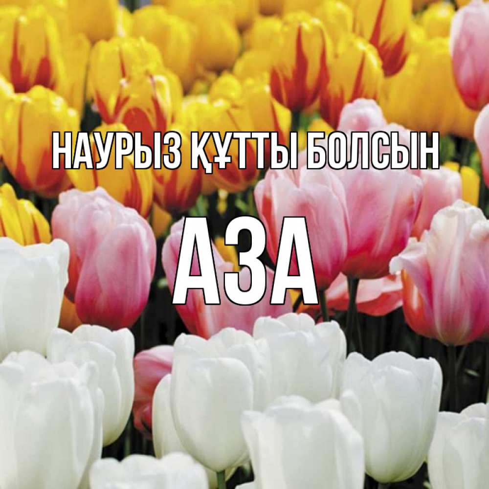 Күн сайын ашық хат с именем, АЗА Наурыз құтты болсын разноцветные цветы Онлайн тегін жүктеп алу тілектері бар керемет карта 