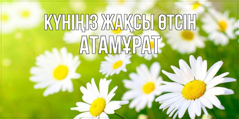 Күн сайын ашық хат с именем, Атамұрат Күніңіз жақсы өтсін открытка с ромашками на зеленом фоне Онлайн тегін жүктеп алу тілектері бар керемет карта 