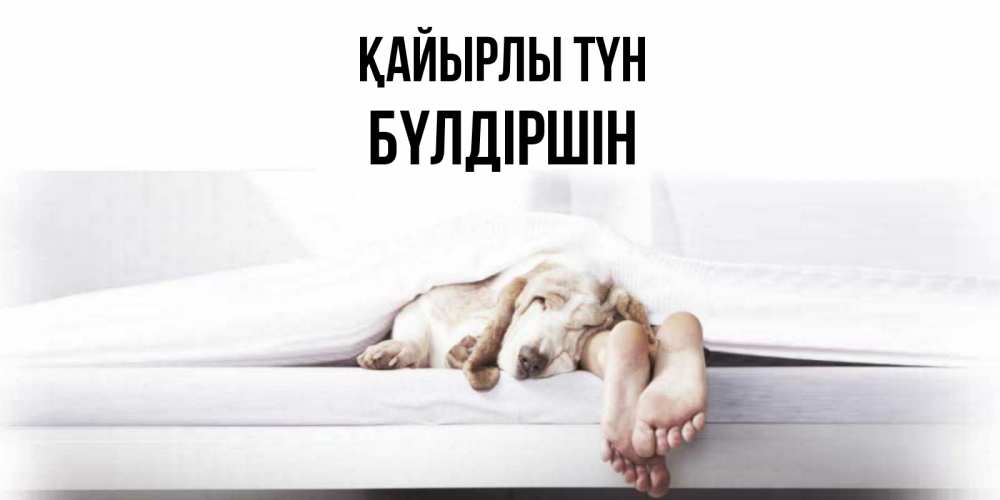 Күн сайын ашық хат с именем, БҮЛДІРШІН Қайырлы түн кровать с собакой пожелание сладких снов и спокойной ночи Онлайн тегін жүктеп алу тілектері бар керемет карта 