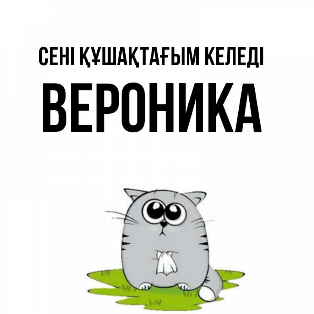 Күн сайын ашық хат с именем, Вероника сені құшақтағым келеді котик теребит платочек сидя на травке Онлайн тегін жүктеп алу тілектері бар керемет карта 