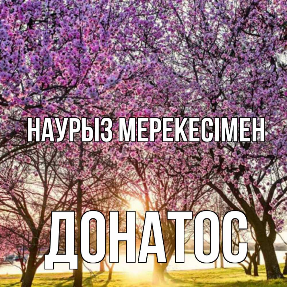 Күн сайын ашық хат с именем, Донатос Наурыз мерекесімен праздник весны наурыз Онлайн тегін жүктеп алу тілектері бар керемет карта 