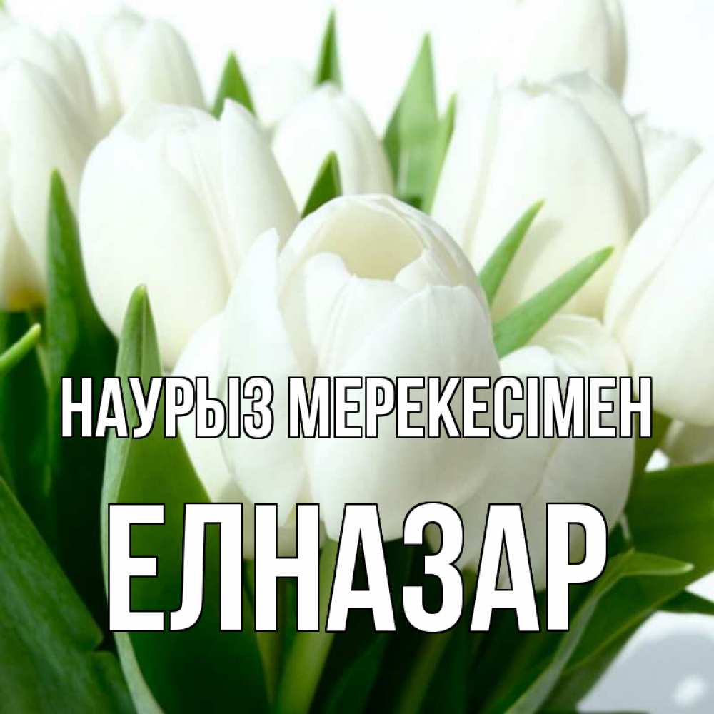 Күн сайын ашық хат с именем, Елназар Наурыз мерекесімен цветы Онлайн тегін жүктеп алу тілектері бар керемет карта 
