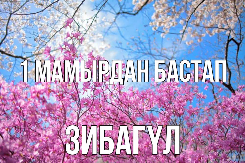 Күн сайын ашық хат с именем, ЗИБАГҮЛ 1 мамырдан бастап С 1 мая Онлайн тегін жүктеп алу тілектері бар керемет карта 
