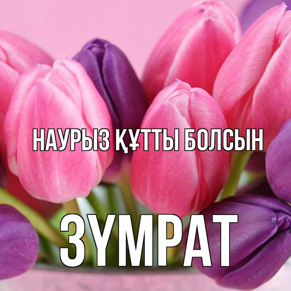 Күн сайын ашық хат с именем, ЗҮМРАТ Наурыз құтты болсын маме 1 Онлайн тегін жүктеп алу тілектері бар керемет карта 