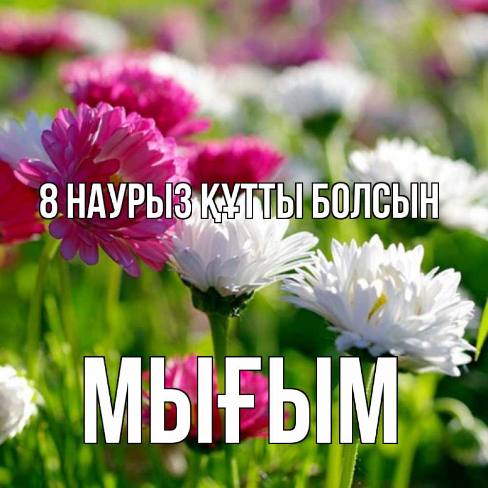 Күн сайын ашық хат с именем, МЫҒЫМ 8 наурыз құтты болсын международный женский день 1 Онлайн тегін жүктеп алу тілектері бар керемет карта 