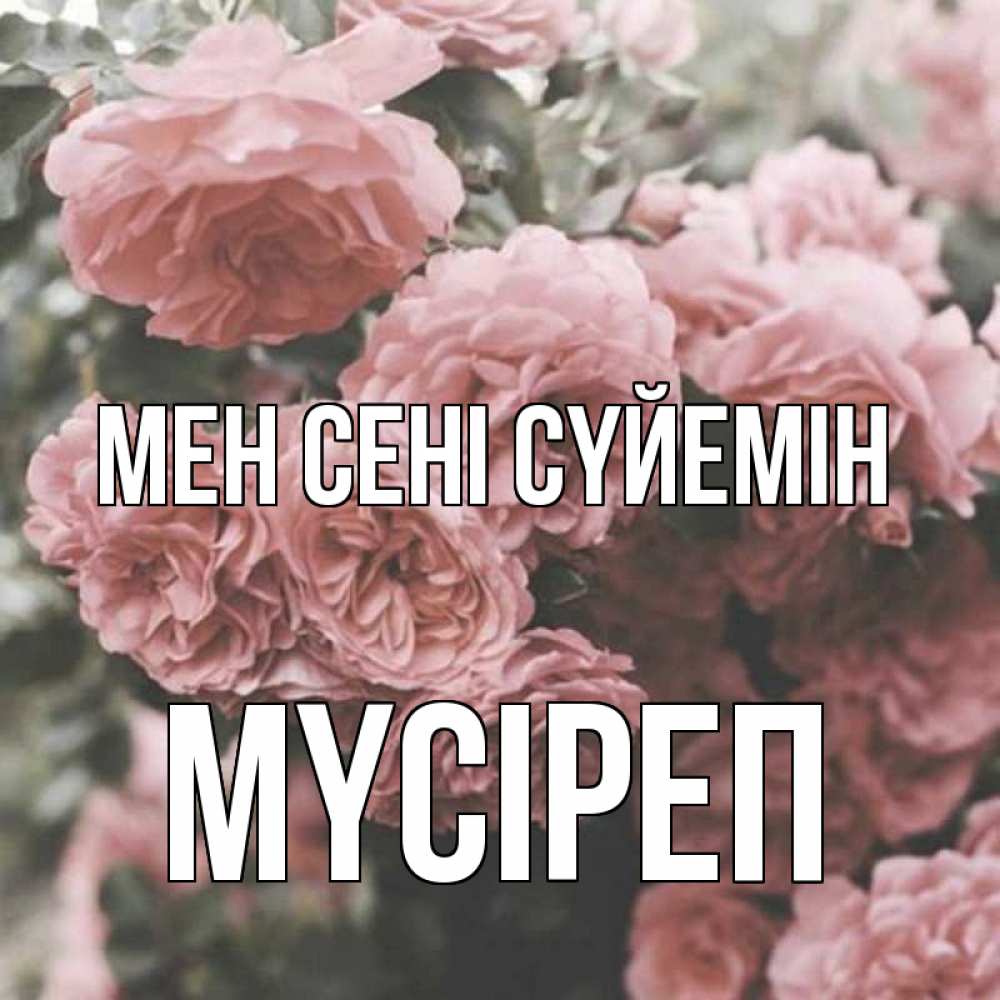 Күн сайын ашық хат с именем, МҮСІРЕП Мен сені сүйемін розы 3 Онлайн тегін жүктеп алу тілектері бар керемет карта 