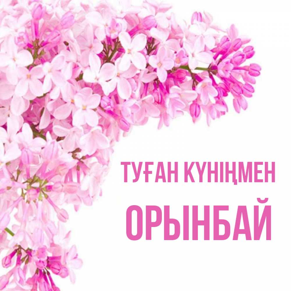 Күн сайын ашық хат с именем, ОРЫНБАЙ Туған күніңмен Сирень на белом фоне Онлайн тегін жүктеп алу тілектері бар керемет карта 
