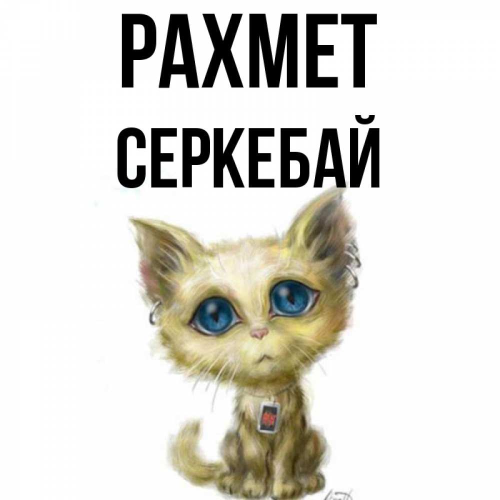 Күн сайын ашық хат с именем, СЕРКЕБАЙ рахмет рисованный кот благодарит вас Онлайн тегін жүктеп алу тілектері бар керемет карта 