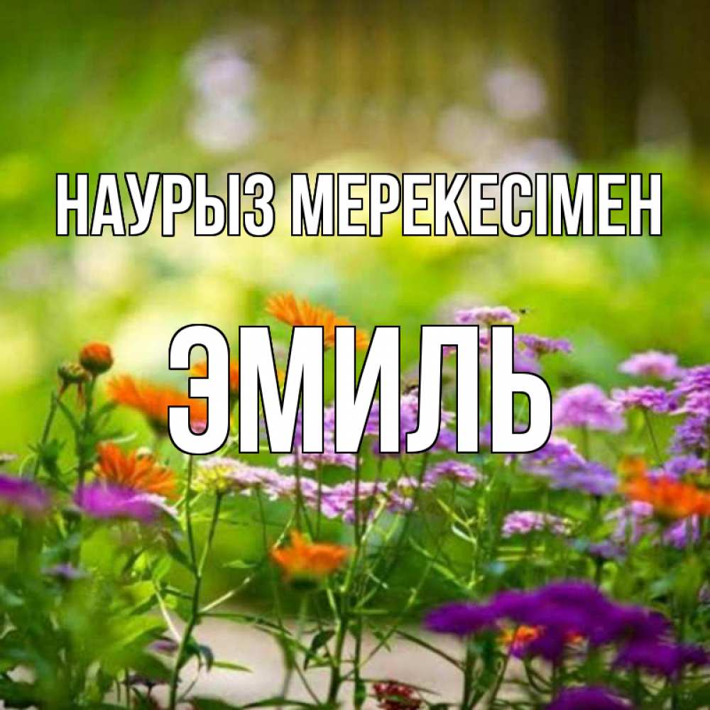 Күн сайын ашық хат с именем, Эмиль Наурыз мерекесімен цветы Онлайн тегін жүктеп алу тілектері бар керемет карта 