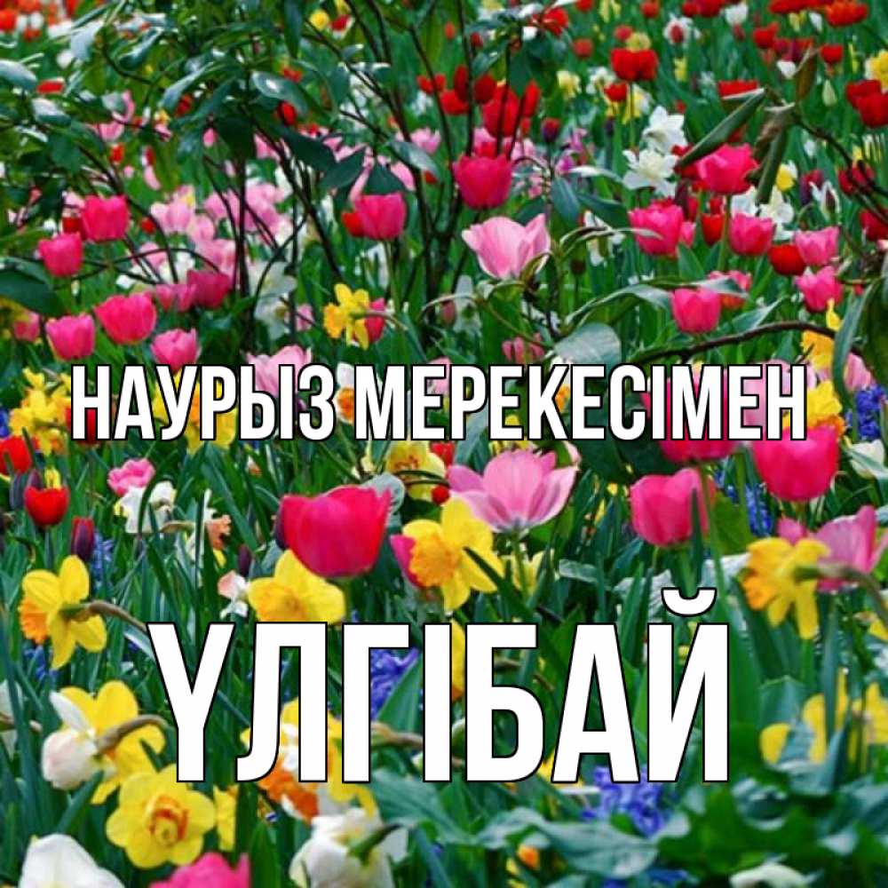 Күн сайын ашық хат с именем, ҮЛГІБАЙ Наурыз мерекесімен с наурызом праздником весны поздравления для женщины Онлайн тегін жүктеп алу тілектері бар керемет карта 