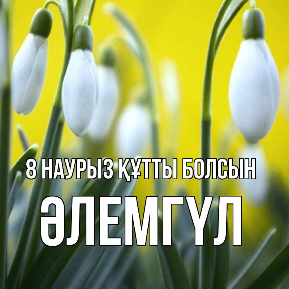 Күн сайын ашық хат с именем, ӘЛЕМГҮЛ 8 наурыз құтты болсын весенние цветы Онлайн тегін жүктеп алу тілектері бар керемет карта 