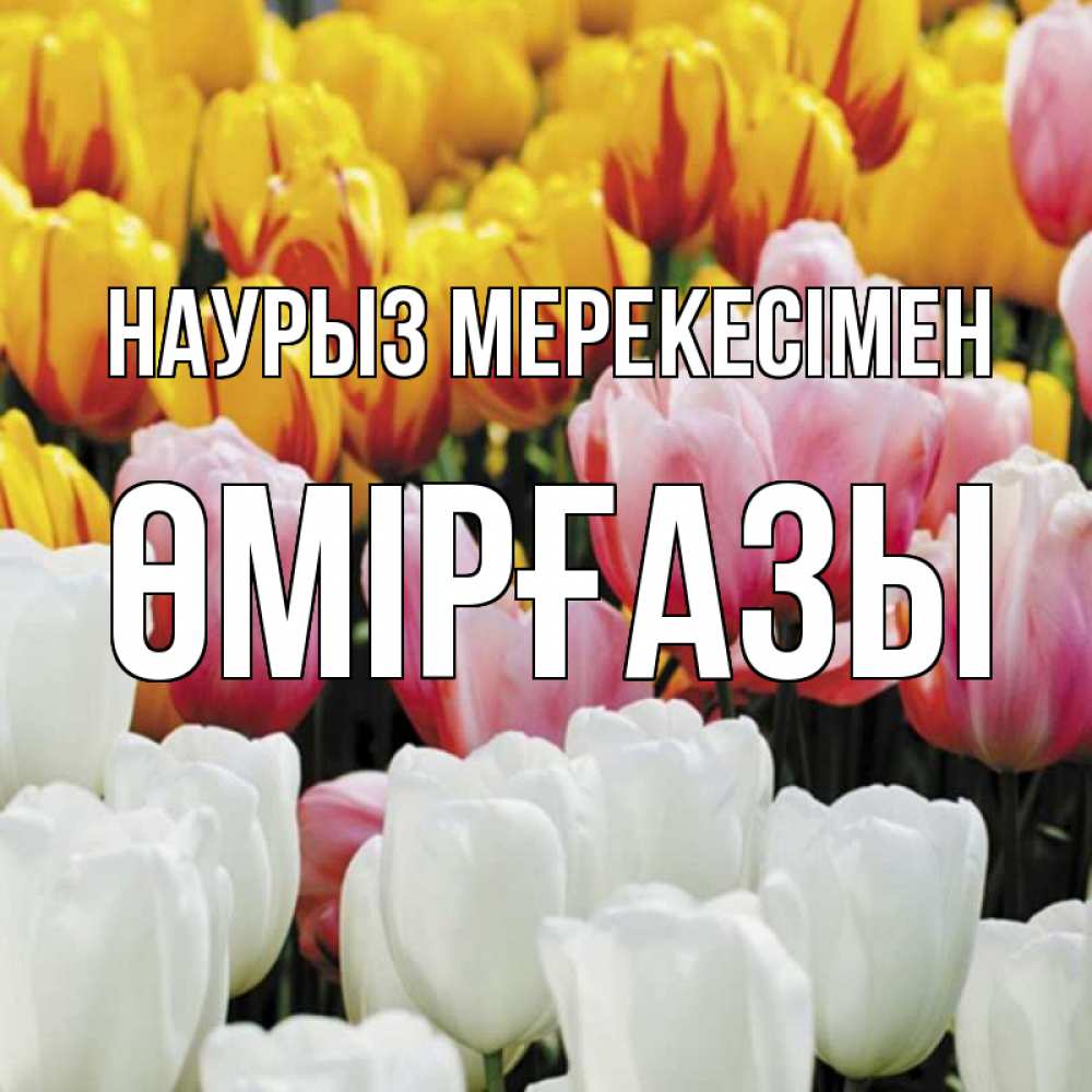 Күн сайын ашық хат с именем, ӨМІРҒАЗЫ Наурыз мерекесімен разноцветные цветы Онлайн тегін жүктеп алу тілектері бар керемет карта 