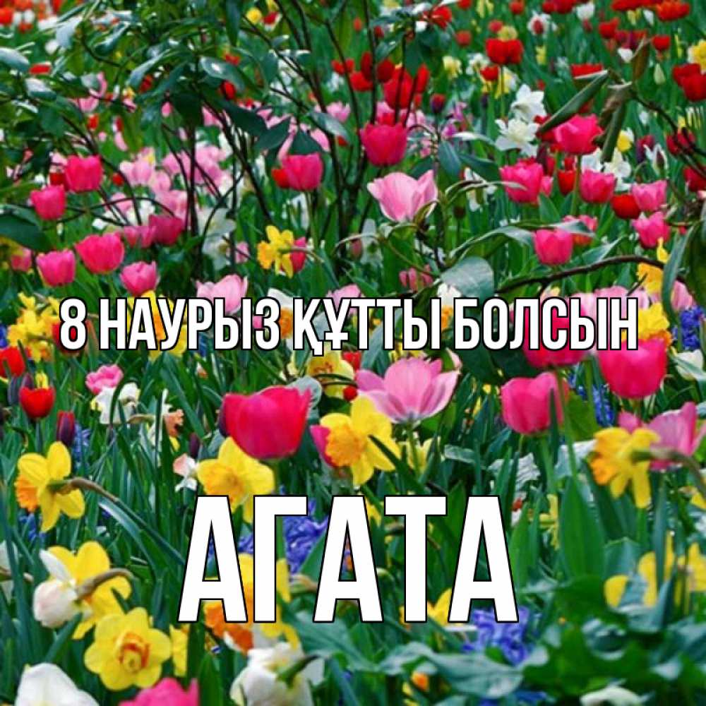 Күн сайын ашық хат с именем, Агата 8 наурыз құтты болсын с международным женским днем поздравления для женщины Онлайн тегін жүктеп алу тілектері бар керемет карта 