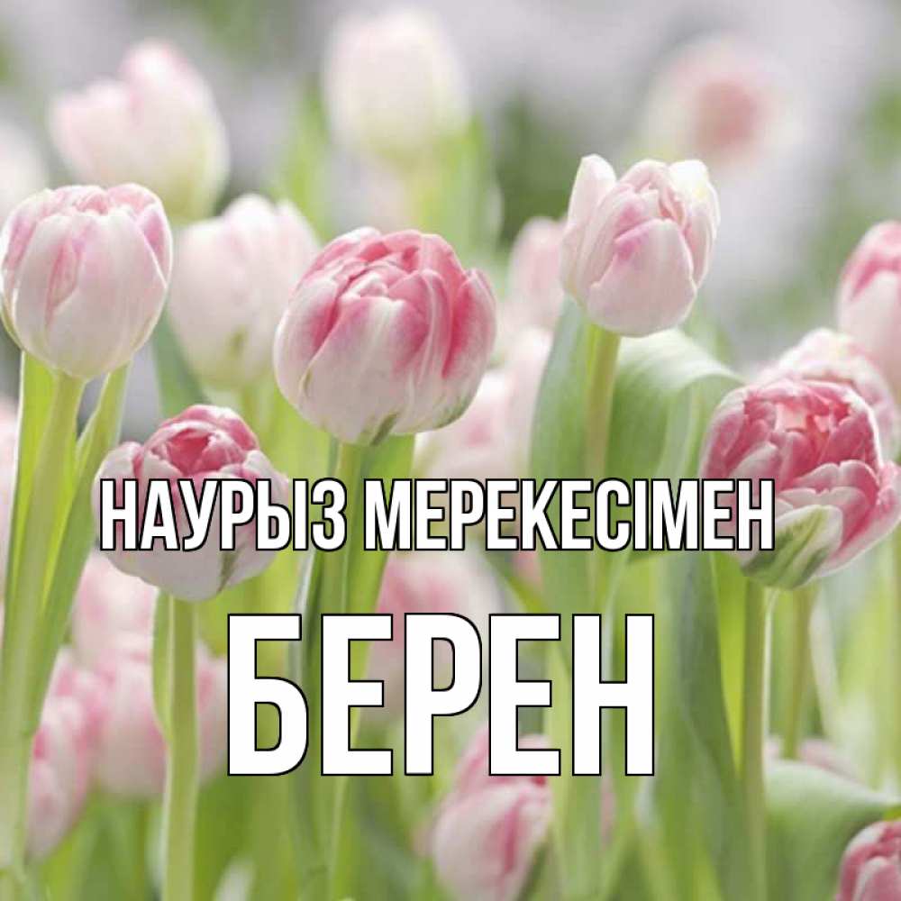 Күн сайын ашық хат с именем, Берен Наурыз мерекесімен цветы Онлайн тегін жүктеп алу тілектері бар керемет карта 