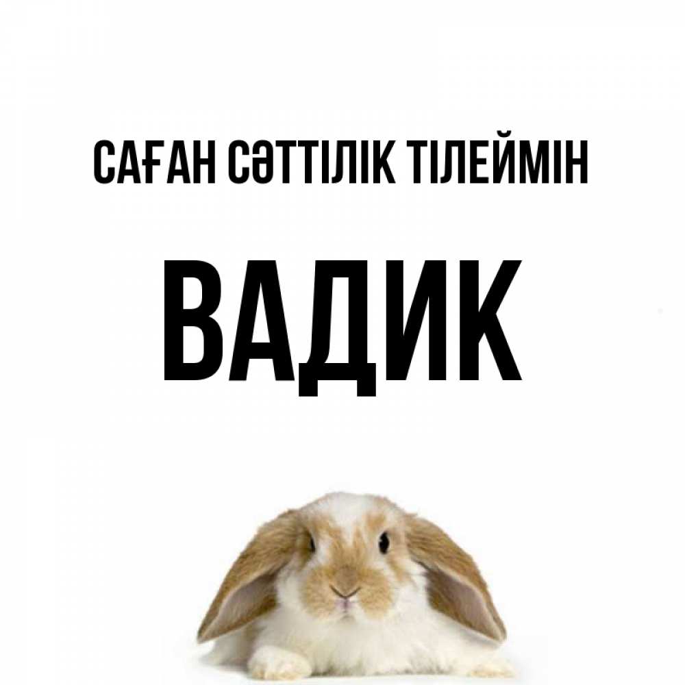 Күн сайын ашық хат с именем, Вадик Саған сәттілік тілеймін открытки с произвольным текстом который можно вставить в открытку и создать ее самостоятельно бесплатно онлайн Онлайн тегін жүктеп алу тілектері бар керемет карта 