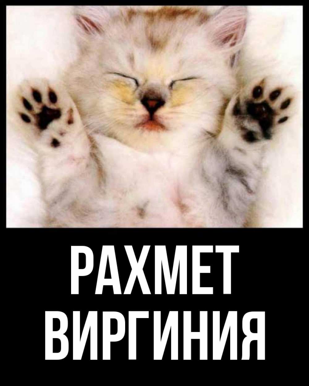 Күн сайын ашық хат с именем, Виргиния рахмет маленький котенок Онлайн тегін жүктеп алу тілектері бар керемет карта 