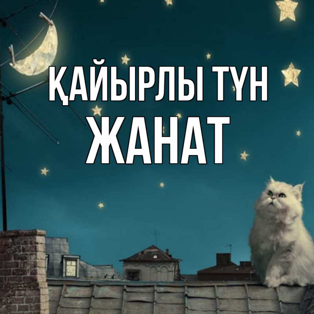 Күн сайын ашық хат с именем, Жанат Қайырлы түн белый кот сидит на крыше Онлайн тегін жүктеп алу тілектері бар керемет карта 