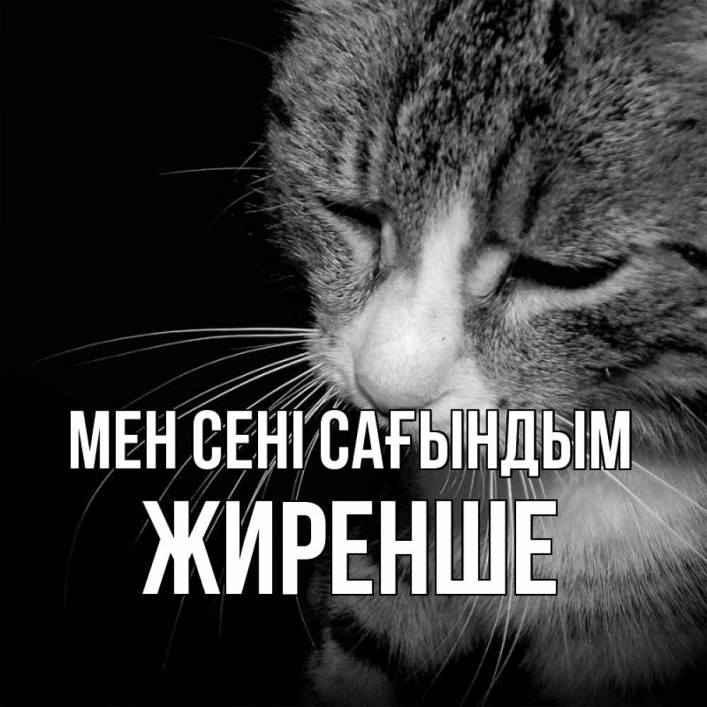 Күн сайын ашық хат с именем, Жиренше Мен сені сағындым мне скучно Онлайн тегін жүктеп алу тілектері бар керемет карта 