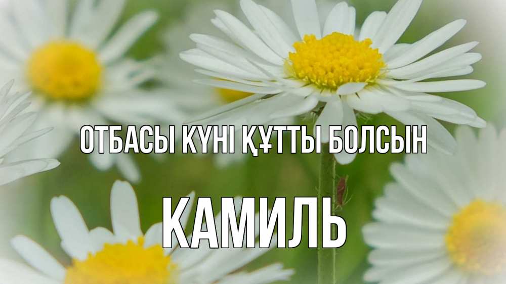 Күн сайын ашық хат с именем, Камиль отбасы күні құтты болсын с днем семьи  1 Онлайн тегін жүктеп алу тілектері бар керемет карта 
