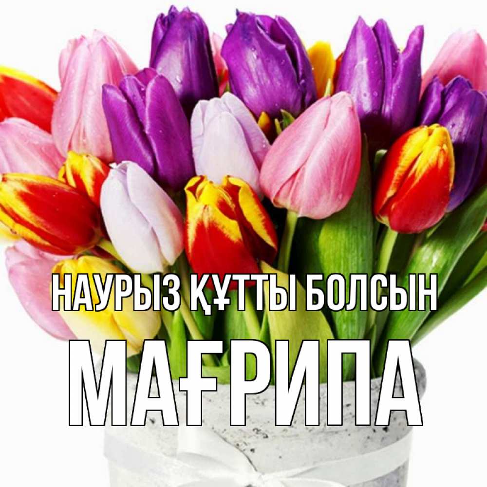 Күн сайын ашық хат с именем, МАҒРИПА Наурыз құтты болсын букет Онлайн тегін жүктеп алу тілектері бар керемет карта 