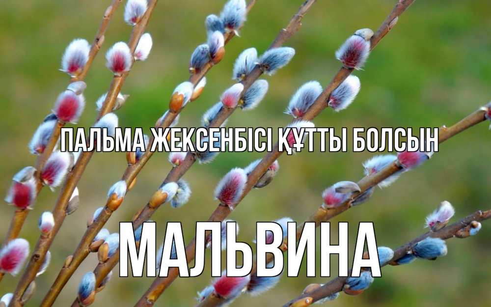 Күн сайын ашық хат с именем, Мальвина Пальма жексенбісі құтты болсын верба Онлайн тегін жүктеп алу тілектері бар керемет карта 