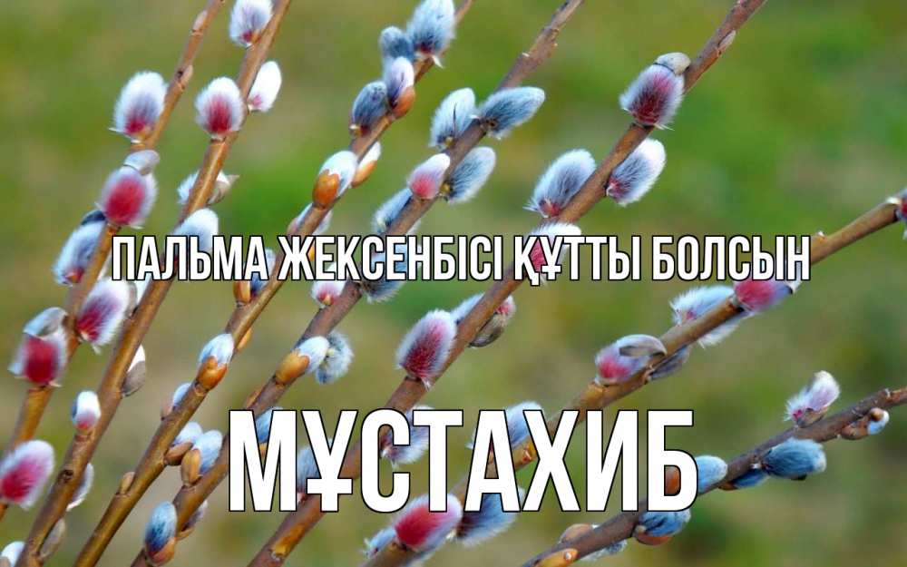 Күн сайын ашық хат с именем, МҰСТАХИБ Пальма жексенбісі құтты болсын верба Онлайн тегін жүктеп алу тілектері бар керемет карта 