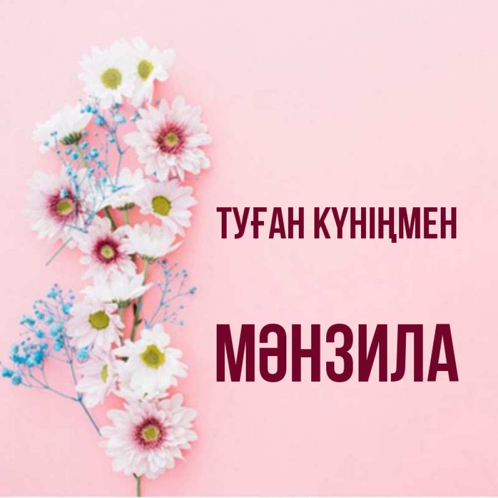 Күн сайын ашық хат с именем, МӘНЗИЛА Туған күніңмен Родная моя с днем рождения тебя картинка с цветами белыми и голубыми Онлайн тегін жүктеп алу тілектері бар керемет карта 