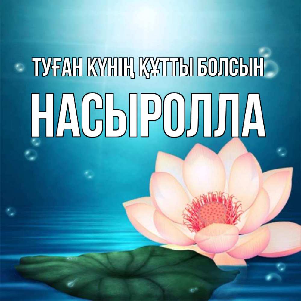 Күн сайын ашық хат с именем, Насыролла Туған күнің құтты болсын кувшинка Онлайн тегін жүктеп алу тілектері бар керемет карта 