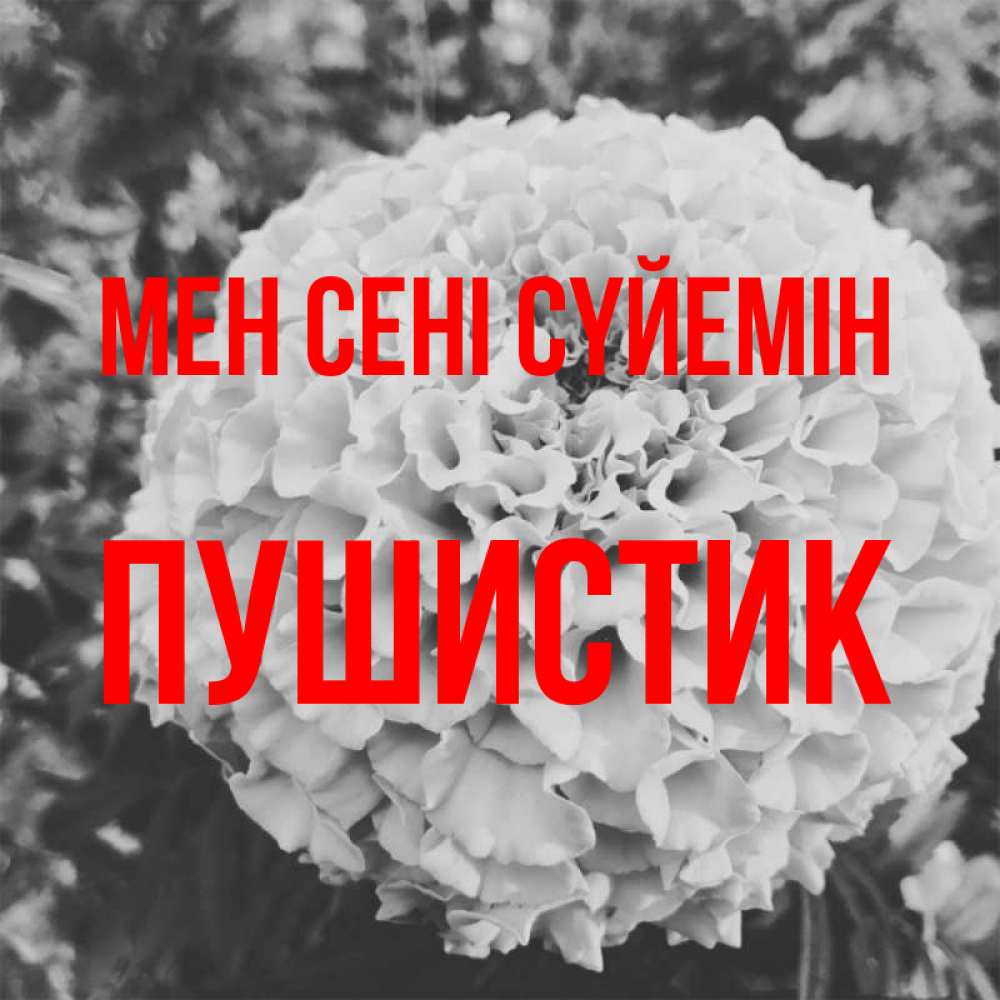 Күн сайын ашық хат с именем, Пушистик Мен сені сүйемін подпись Онлайн тегін жүктеп алу тілектері бар керемет карта 