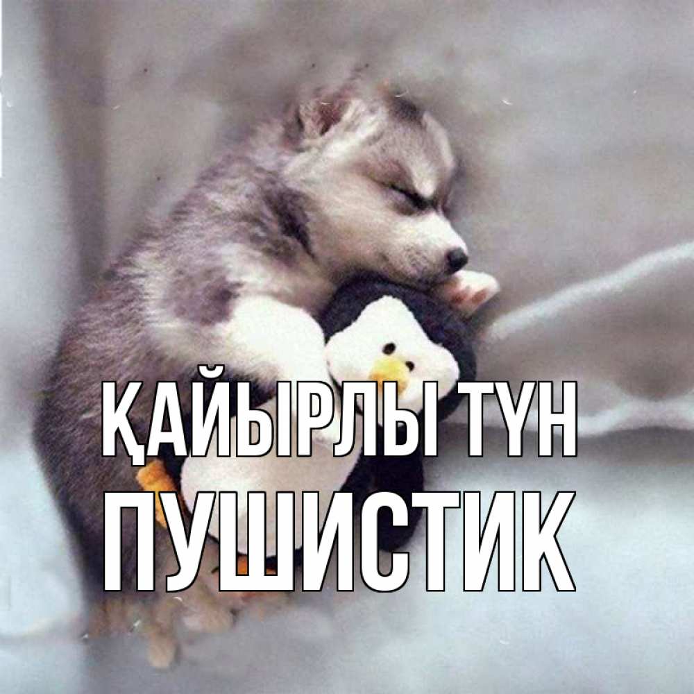 Күн сайын ашық хат с именем, Пушистик Қайырлы түн обнимашки щенка и пингвина Онлайн тегін жүктеп алу тілектері бар керемет карта 