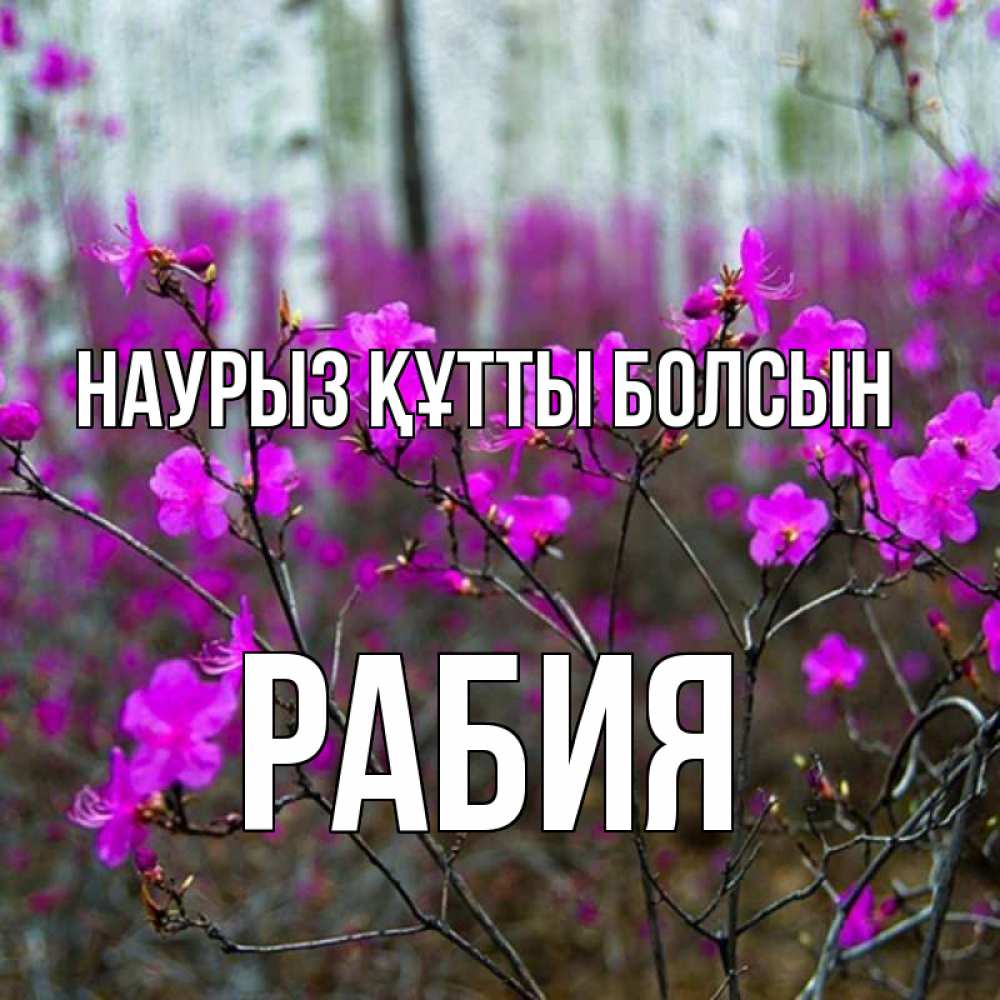 Күн сайын ашық хат с именем, РАБИЯ Наурыз құтты болсын дикие цветы Онлайн тегін жүктеп алу тілектері бар керемет карта 