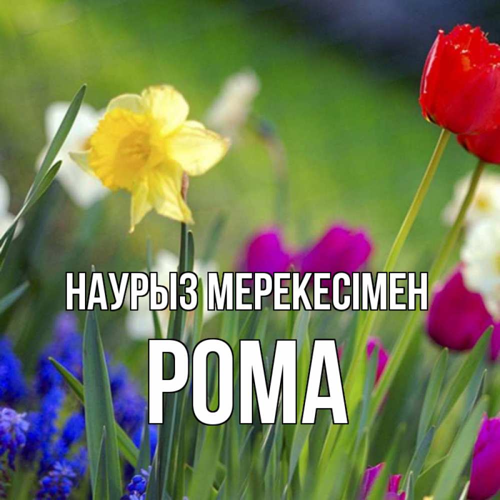 Күн сайын ашық хат с именем, Рома Наурыз мерекесімен праздник весны наурыз 3 Онлайн тегін жүктеп алу тілектері бар керемет карта 