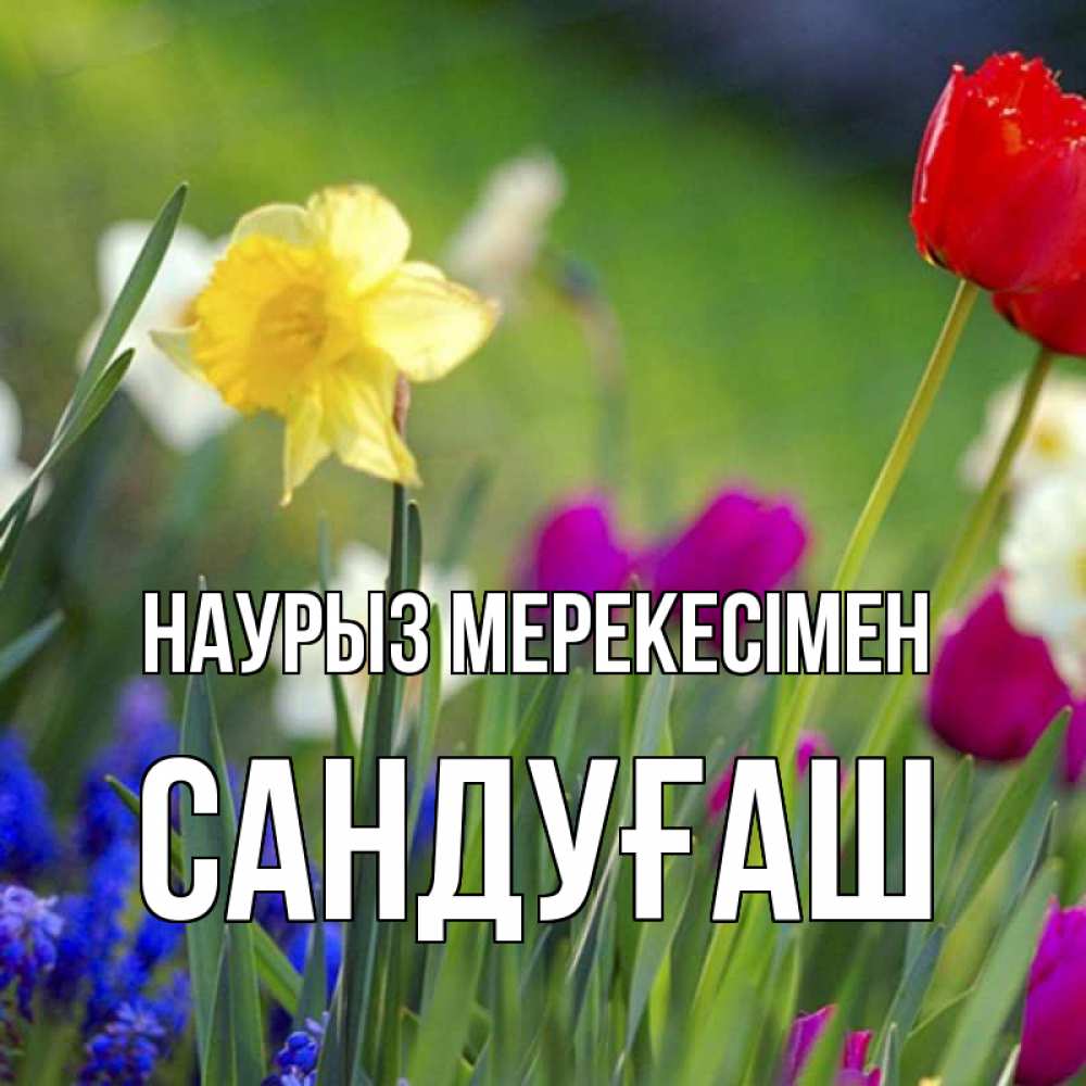 Күн сайын ашық хат с именем, САНДУҒАШ Наурыз мерекесімен праздник весны наурыз 3 Онлайн тегін жүктеп алу тілектері бар керемет карта 