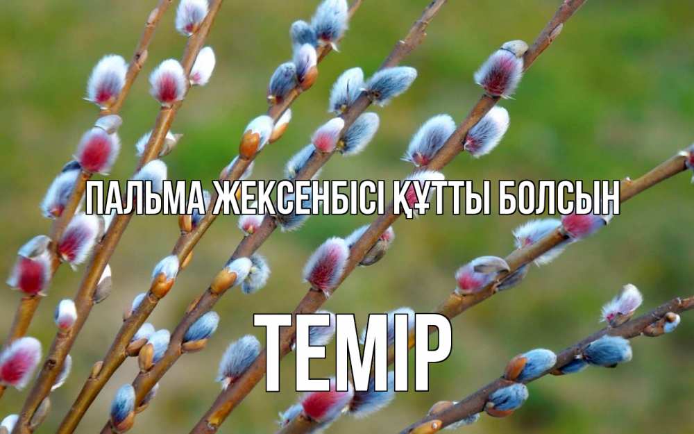 Күн сайын ашық хат с именем, ТЕМІР Пальма жексенбісі құтты болсын верба Онлайн тегін жүктеп алу тілектері бар керемет карта 