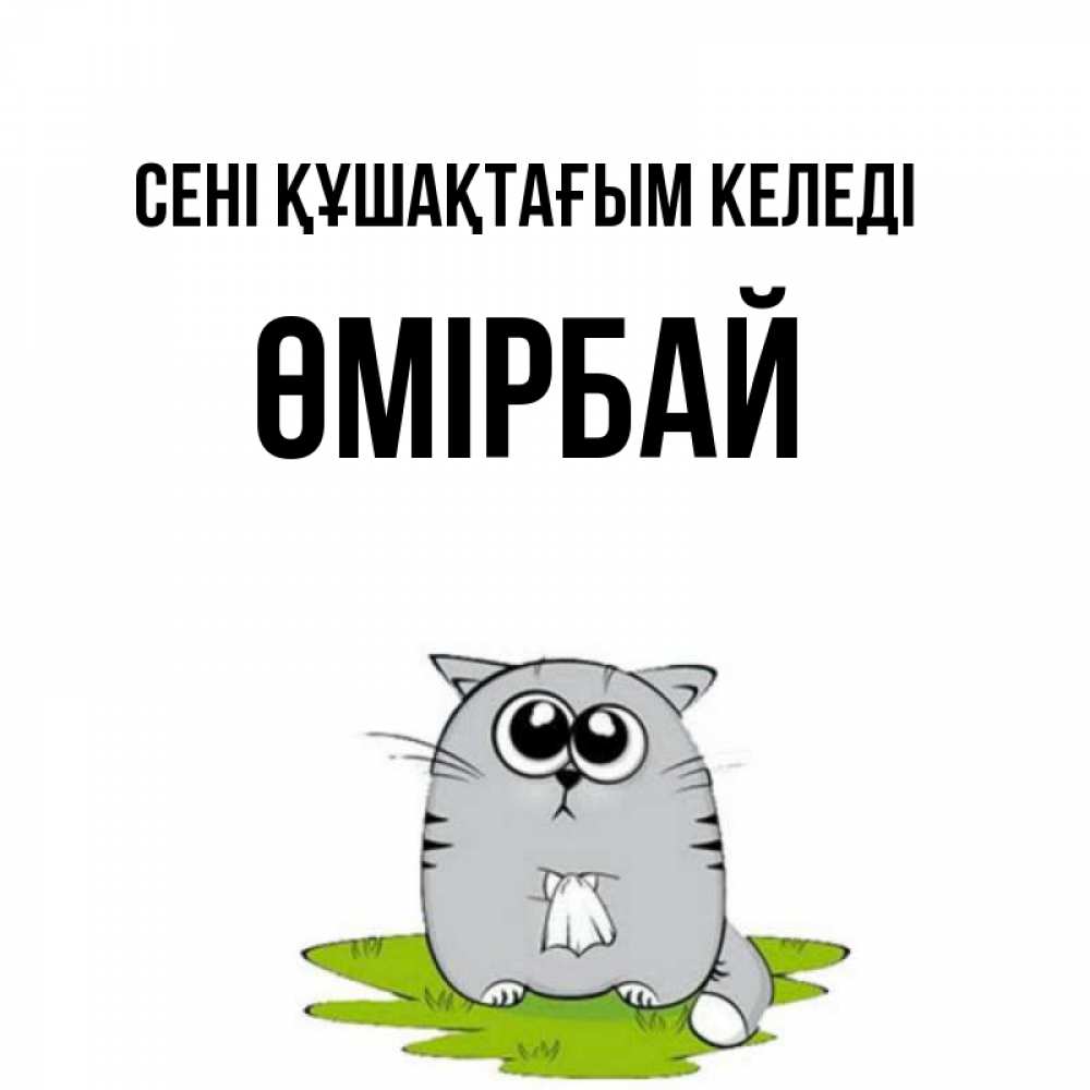 Күн сайын ашық хат с именем, ӨМІРБАЙ сені құшақтағым келеді котик теребит платочек сидя на травке Онлайн тегін жүктеп алу тілектері бар керемет карта 