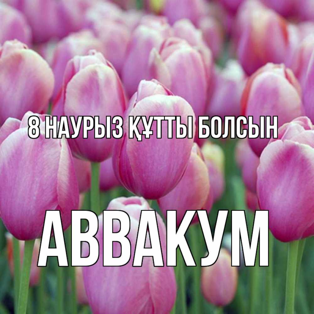 Күн сайын ашық хат с именем, Аввакум 8 наурыз құтты болсын на международный женский день 3 Онлайн тегін жүктеп алу тілектері бар керемет карта 