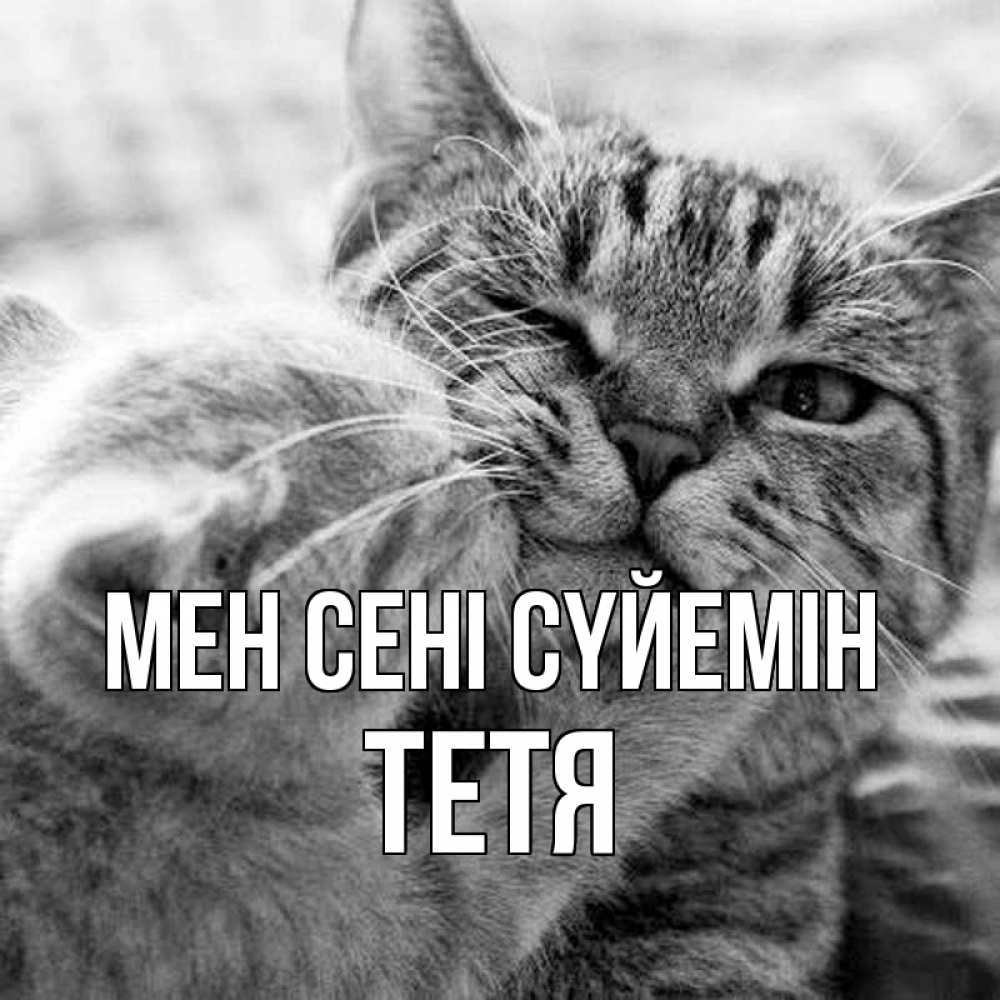 Күн сайын ашық хат с именем, Тетя Мен сені сүйемін коты Онлайн тегін жүктеп алу тілектері бар керемет карта 